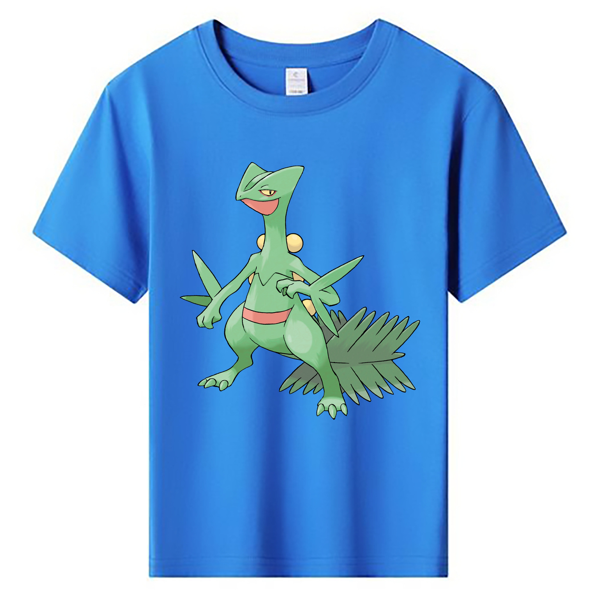 （画像用） ポケットモンスター Pokémon 綿100％キッズTシャツ（フロントプリント）